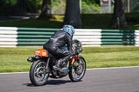 Vintage-motorcycle-club;eventdigitalimages;mallory-park;mallory-park-trackday-photographs;no-limits-trackdays;peter-wileman-photography;trackday-digital-images;trackday-photos;vmcc-festival-1000-bikes-photographs